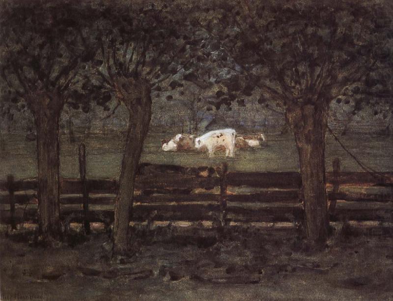 Piet Mondrian White cow oil painting picture
